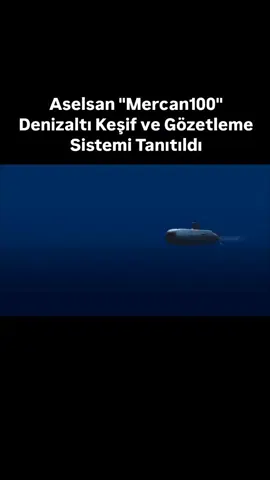 ASELSAN Mercan 100