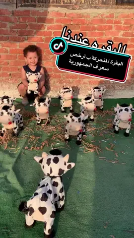 البقرة المتحركة التريندي بتغني و بتردد الكلام و بتمشي عندنا ب ارخص سعر ف الجمهورية #ترند  @Gift 