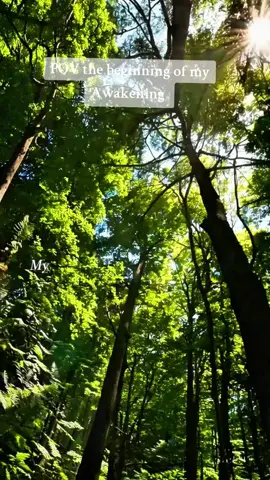 the beginning of MY journey to consciousness #creatorsearchinsights  #consciousness, #awakening, #spiritualjourney, #selfawareness, #enlightenment