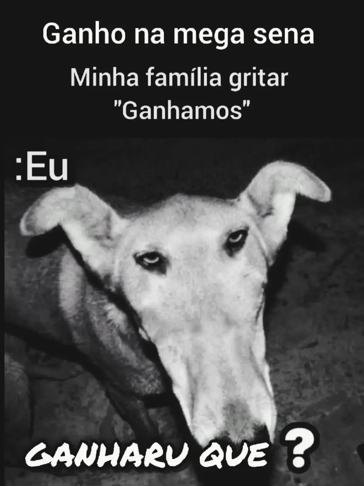 #memestiktok #engraçado #fyp 