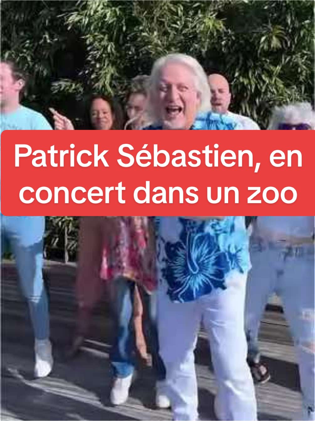 Patrick Sébastien chante devant des gorilles pour tester son public #patricksebastien #concert