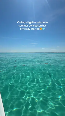 My favorite season🌊 #Summer #summervibes #summertime #summer2025 #boater #boaterslife #boatsinflorida #summervlog #summervibes 