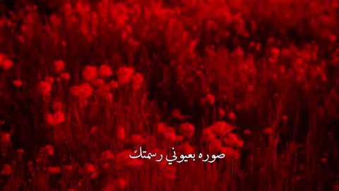 عِنْدَ اِنْكِسَارِي : مُتَّجِه نَحْوَ اَلْقَصَائِدِ دَوْمًا . #عباس_السعيدي #السلام_عليك_يااباعبد_الله_الحسين 