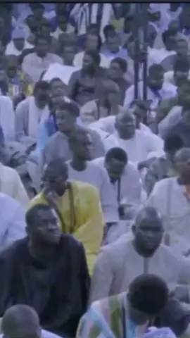 Cheikh Ahmadou bamba amoul morom  #senegalaise_tik_tok #mouride_sadikh_officiell #viralvideo #viralvideo 