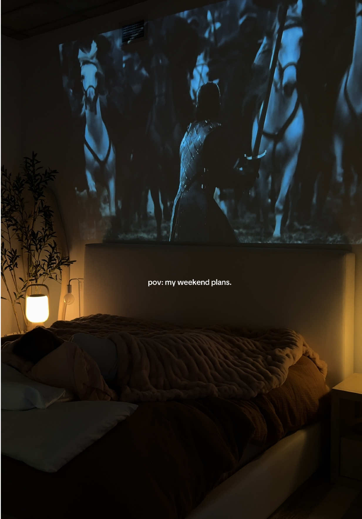 the king of the north 🙌🏼🗡️🐺 #WeekendVibes #jonsnow #weekendmood #projector #gameofthrones #NightIn #stayinghome #apartmentliving #cozycore #cozybedroom 