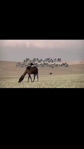الصمت ميزة كل طيب وطحطوح تصكه الصكات وأ تمر عادي