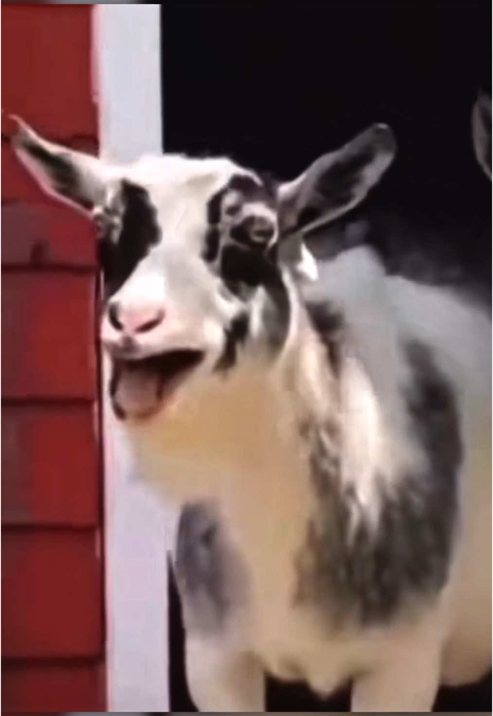 Replying to @konfikaRETURN OF THE JOE ROGAN BOOM 💥 #warzone #verdansk #callofduty #codmemes #affelstan 