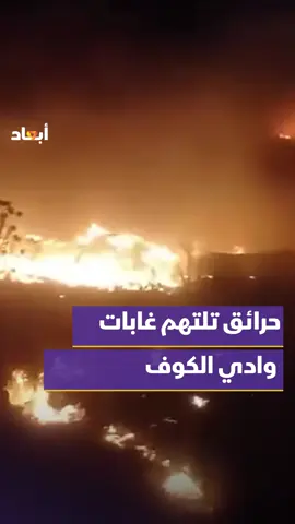 شاهد | حرائق هائلة تلتهم مساحات واسعة من غابات وادي الكوف