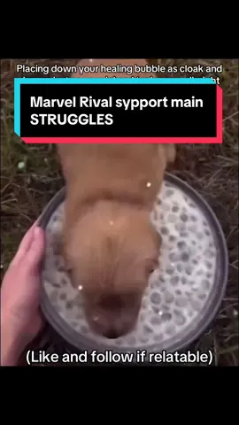 Support mains stay suffering #marvelrivals #marvelrivalsmemes #marvelrivalsfunny 