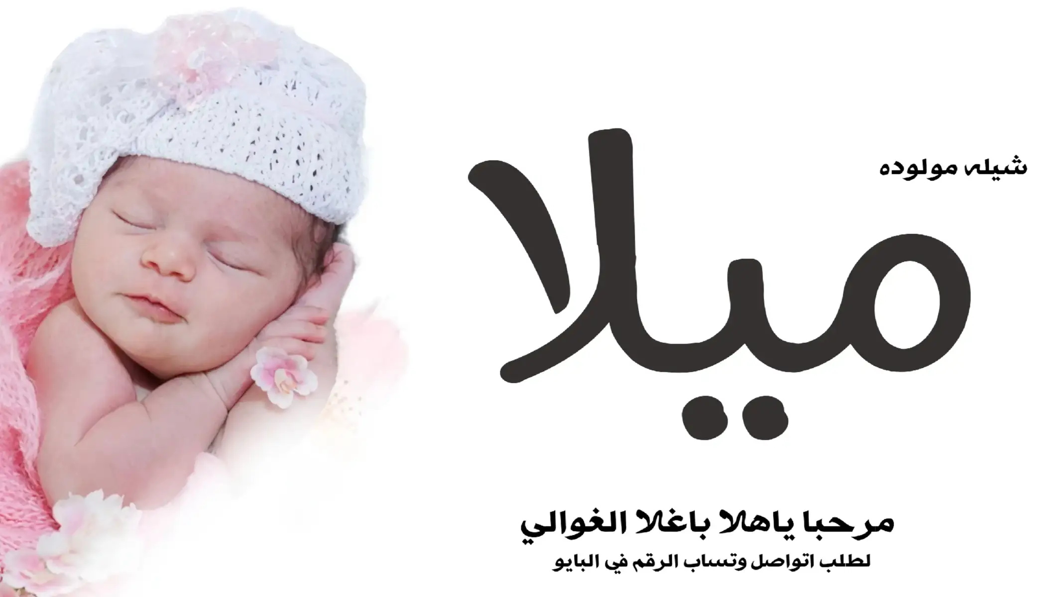 #شيله_بشاره_مولود #اغنيه #مولود #M #o #to #o #d #استبشرت_زهره_بولد_ #اغاني_مولود  #مولود_2025 #مولود_بنات #شيله_بشاره_مولود #شيله #مولود #شيلا #مولود #شيله_مولود #شيله_افرحوا_واستبشروا #مولود_بنات #مولود_2025 #شيله_بشاره_مولود