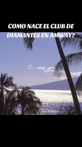 El Club de Diamantes en Amway surge como parte del sistema de reconocimiento de la compañía, fundada en 1959 por Jay Van Andel y Rich DeVos. Amway, pionera en el marketing multinivel, introdujo el nivel 