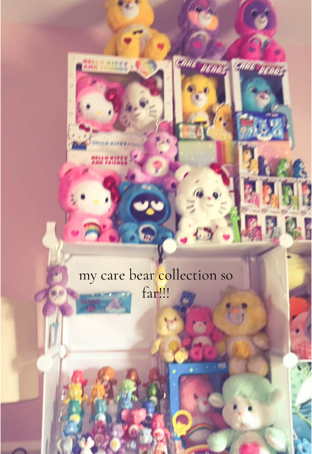 #CAREBEARS || ahhh! @Care Bears™ #fyp #xybcafyp #news #carebears #collection #cute 