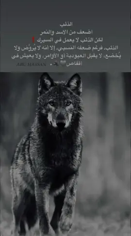 #عبارات_جميلة_وقويه😉🖤 #عباراتكم_الفخمه🦋🖤🖇 #عبارات #جنيني_ياخال🖤✌🏻 #سيلاوي🤍 #فوريو 