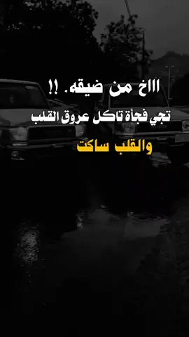 #فيديوهات # عبارات # تصاميم # مسقي # اليمن # اب # تعز # صنعاء # ذمار # المحويت # الحديده # عدن # يافع # 