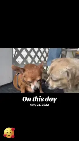 #onthisday 