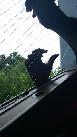 #creatorsearchinsights #clasicos 