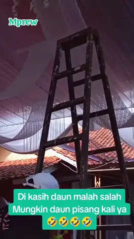 #menyediakanalatwedding