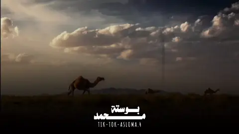 محمد بوستة النبرة لولة 🥀🔥 #الشاعر_محمد_بوستة  #شتاوي_غناوي_علم_ليبيه  #البيضاء_الجبل_الاخضر  #عبدالسلام_الجوير #ليبيا🇱🇾 