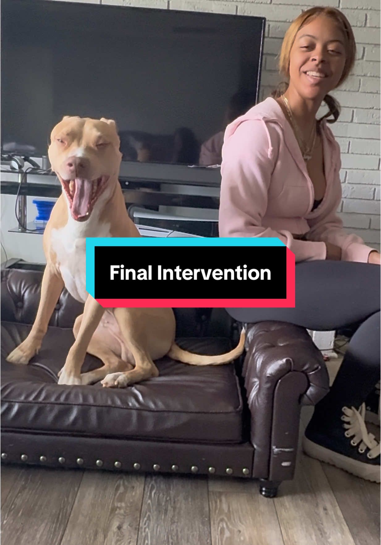 This is the last and final intervention prior to Sweetie and Papi Jay leaving…  #Ac#Acei#bishopacei#pitbullsoftiktoko#dogsoftiktoky#fypc#aceandgrandmar#grandmaandaceo#foryourpageo#dogofgoda#papijayf#gforgodsonweetie
