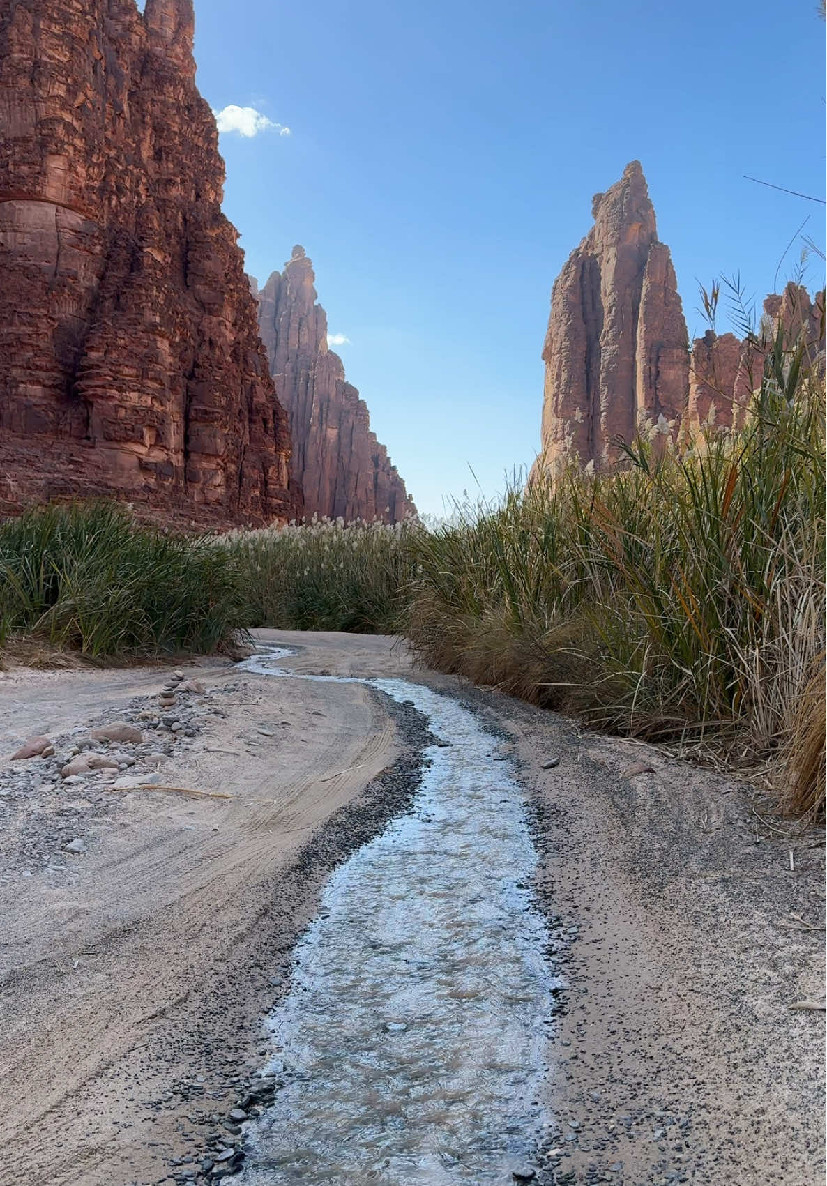 This region in Saudi Arabia is so rich in ground water that the springs create small ponds and creeks through this canyon. Outside of this canyon is another world, barren and dry desert with sand and lifeless mountains as far as the eye can see. This location is Al Disah Canyon in northern Saudi Arabia. #travel #creatorsearchinsights #nature #Hiking #adventure #desert #traveltiktok #fyp #trending #foryoupage #vacation #viral 