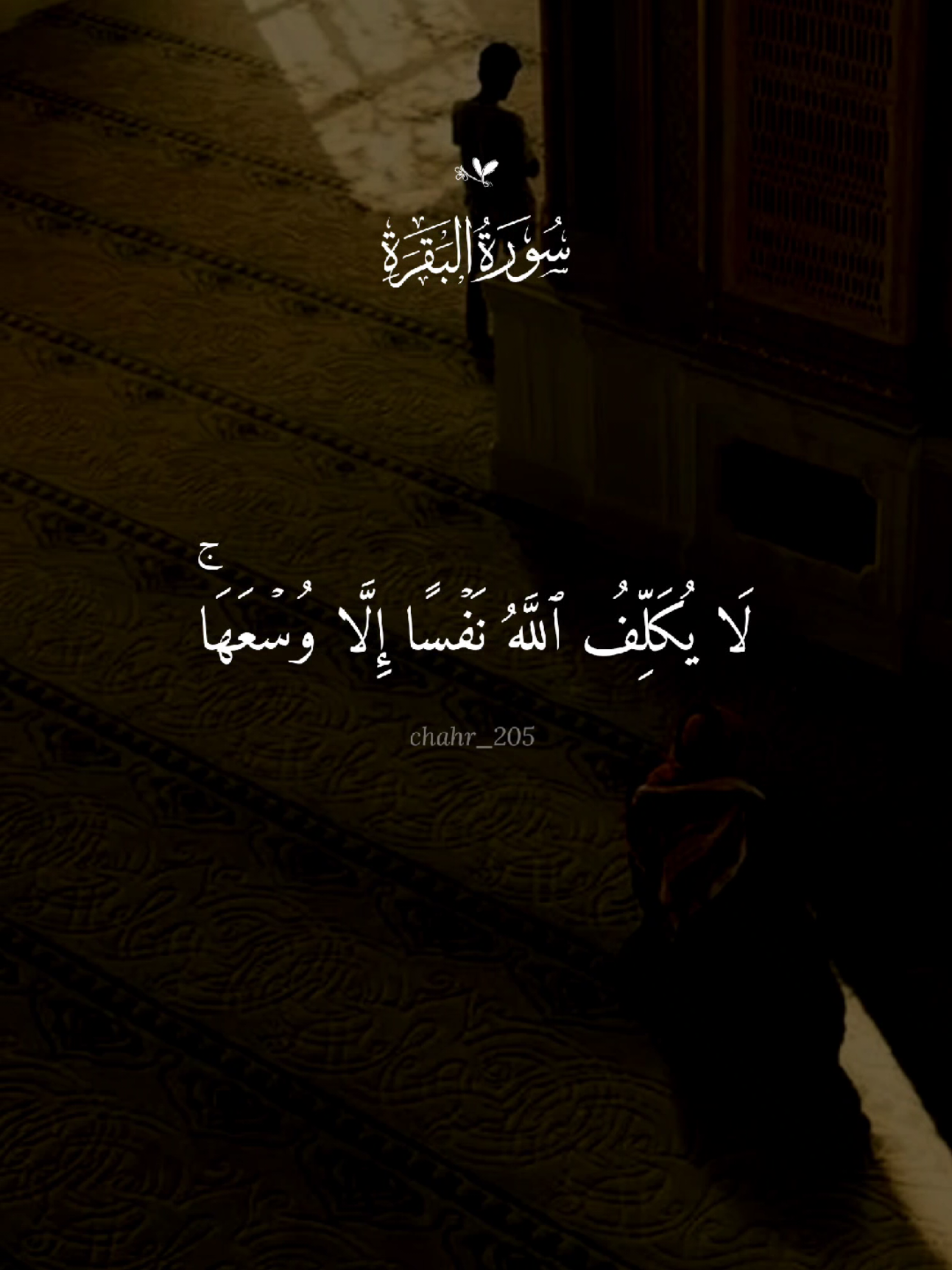 لا يكلف الله نفسا إلا وسعها 🤍 #quran #القرآن #quran_alkarim #القران_الكريم #qu_ran_n #تلاوة_خاشعة #qu_ran_n؛؛قرآن #quran_114st 