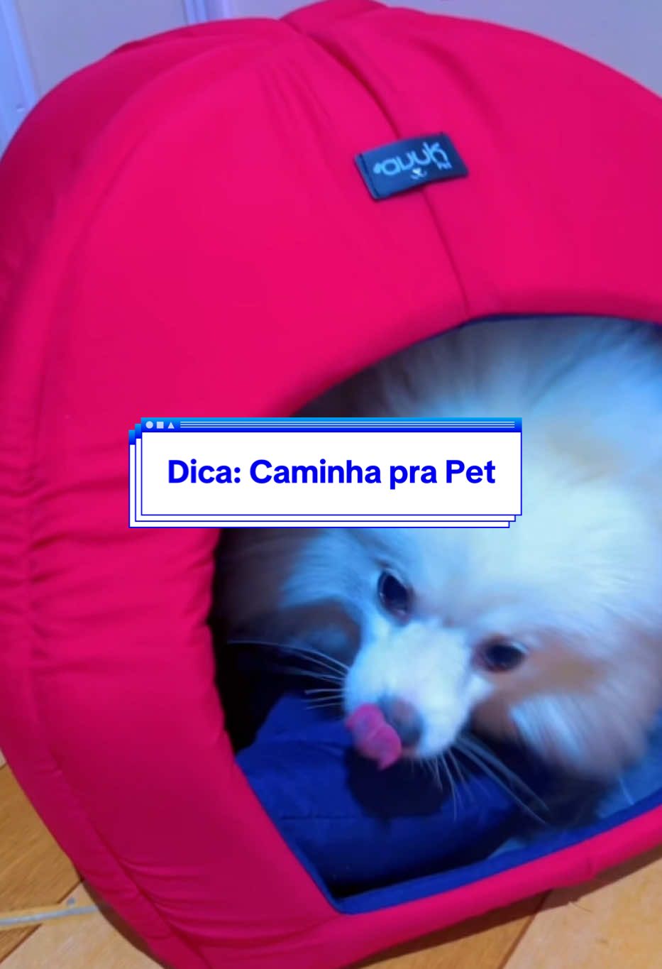 Cabana 2X1 - vira cama, serve para cão e gato. Tecido maravilhoso  Super recomendo  . . #criadordeconteudo #tiktokshopchegou #tiktokshop #vitrine #fyyyyyyyyyyyyyyyy #pets  @Avuk Pet 