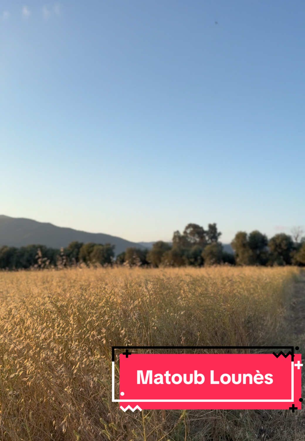 Thenssa Thafath par Matoub Lounès#chansonkabyle#fyppp#imazighen#matoub_lounès#ⵣ🔰#djurdjura#kabyle#jsk#dz🇩🇿#nature#tiziouzouⵣimazighen💛💚 #partager_maximum_khawti🙏🏻 