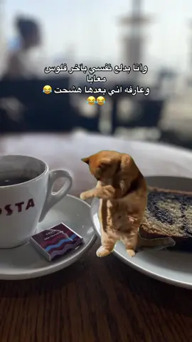 #CapCut #اكسبلو #fypシ #syria #instagram #ترند #الشعب_الصيني_ماله_حل😂😂 
