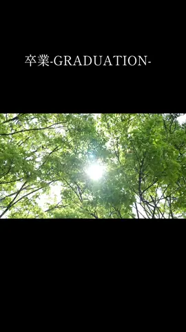 #卒業 -GRADUATION #菊池桃子 　#歌詞動画 　#懐メロ 　#ポップス 
