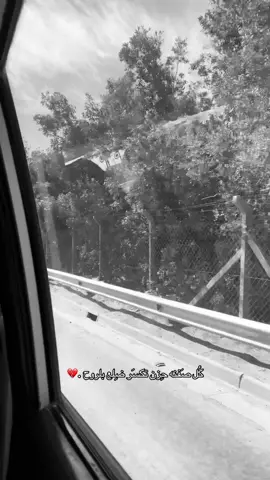 كُل صَفنه حِزن تكسَر ضِلع بلروح .💔#تصويري_احترافي_الاجواء👌🏻🕊😴 #الحمدلله_دائماً_وابداً #امجد_كريدي #سيد_فاقد_الموسوي #حسين_اهات #محمد_باقر_الخاقاني #علي_الوائلي #موكب_الاحزان 