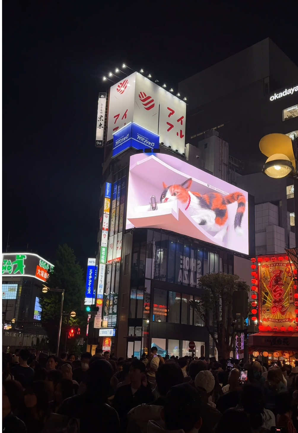 POV : Menikmati 🇯🇵 #kenshuseijapan🇮🇩🇯🇵🎌 #jishusei🇯🇵🇲🇨 #japanvibes #kerjadijepang #hidupdijepang #jepang #jepangindonesia #japanese #japantiktok #japanlife #japantrip 