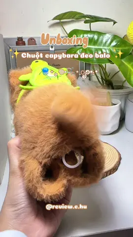 Capybara đeo tay nè ✨🎀 #capybara #capybaralove #capybaratiktok #thunhoibong #viralvideo #trend #reviewcohau 