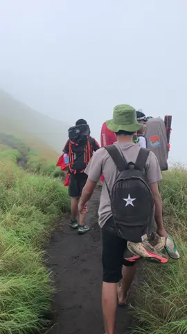 😌😌😌#CapCut #anakdara #muncak #foryou #fyp #gunung 