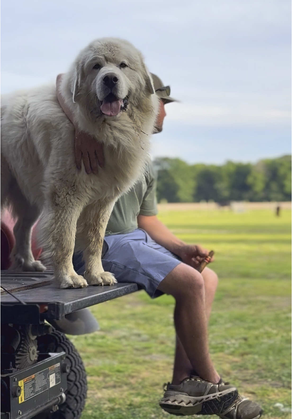 Memorial Day Weekend.  🇺🇸 Thankful to all those who made the ultimate sacrifice so we can build lives like this. #fyp #thankful #memorialdayweekend #memorialdayweekend2025 #barndo #greatpyranees #lgd #guardian #buildtogether #powercouple #horsefarm #trending #dogsoftiktok 