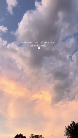 🤍🥺
