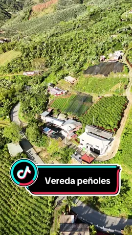 Vereda peñoles del Municipio de Aguadas, ubicada a 8 kilometros aproximadamente de la cabecera municipal en la vía que conduce al municipio de Pácora en el norte de Caldas. 🇨🇴 #paisajes #drone #imagenesyrecuerdos #montañas #nortedecaldas #aguadas #estemalditoamor 