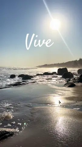 VIVE #vive #viveintensamente #motivacional #cecinspira #sefeliz #disfrutalavida #motivacion #fyp #paratii 