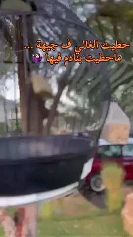 #يحسابك_في_عازة_ظلّه🔥 #ع_الواهم_ياعيني_اسمله🤐  #نحن #الخسائر #وليس #الخاسرون #😎😎  #اكسبلور #هاشتاقات_تيك_توك_العرب  #تريند_التيك_توك #تريند #اشعار #تيك_توك  #ليبيين #ليبيا_طرابلس🇱🇾🇱🇾🇱🇾 #ليبيا_طرابلس_مصر_تونس_المغرب_الخليج #جرابة_طرابلس_ليبيا #سياحية_حي_الاندلس_قرقارش_غوط_الشعال  #تصويري📸 #الصينين_مالهم_حل😂😂  #trendingvideo #tiktokindia #explore #foryoupage #viral_video #hachtag #fyp #vyp #vypシ #vypシ ✌️❤️ #الشعب_الصيني_ماله_حل😂😂  @محمد الدرسي  @ﹾ﮼𝓝𝓮 ꩜ﹾ٭  @زيــنهــ🎀 