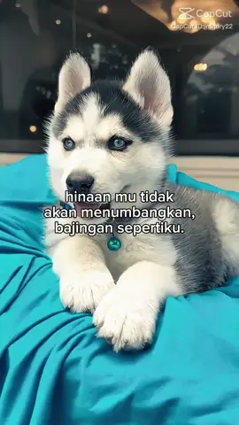 #fyppppppppppppppppppppppp @ORIGINAL SREBEK PASURUAN #fypシ゚ 