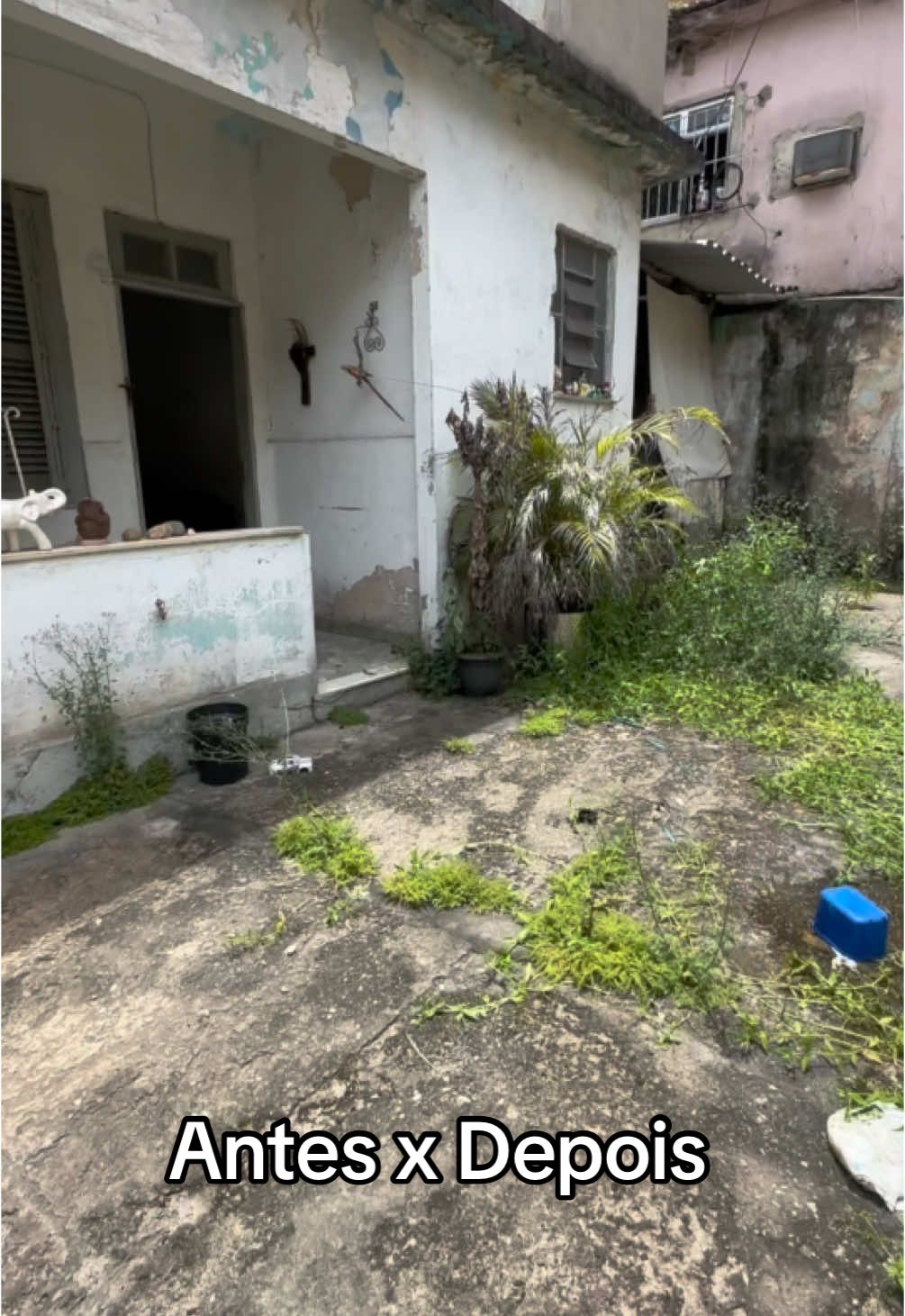 Comprei uma casa velha e vou reformar até virar casa nova #casa #reforma #mulhernaobra #viralvideos #maosaobra #fouryou #vpfy 