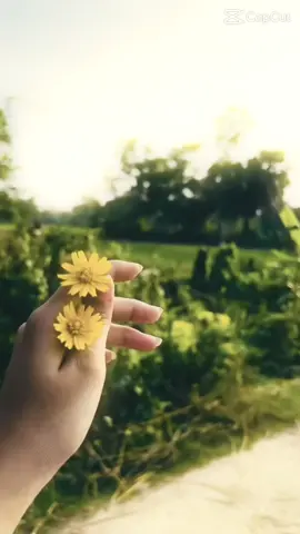 😊🖤