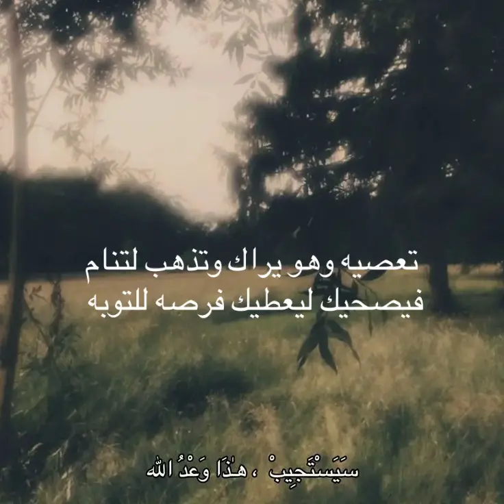 سبحان الله 🤍🤍#قران_كريم #تلاوة_خاشعة #fyp #foryou #اجر #استغفرالله_العظيم_واتوب_اليه #لعلها_تشفع_لي_و_لكم 