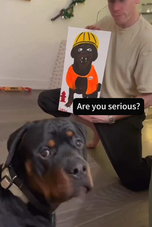 Dogs can understand English 🤣🐶#funnyvideo #dog #tiktok #funnydogs 