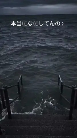 なにしてんの？#弱虫ペダル #舞台 #面白い 