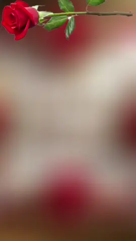 #CapCut 