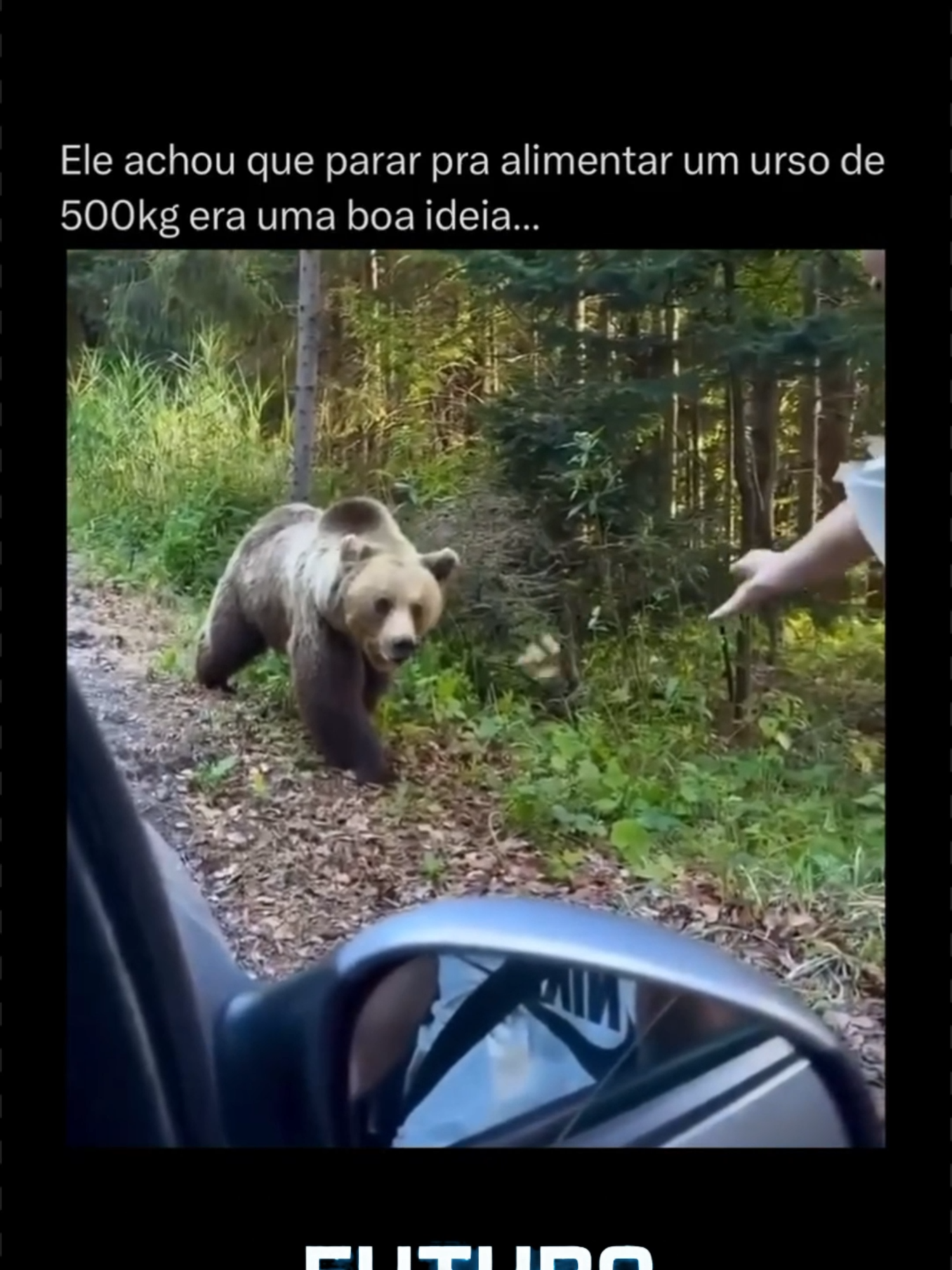 Na cabeça dele, era só um gesto “fofo”. Um biscoito jogado, uma aproximação tranquila, uma selfie garantida. O que ele esqueceu é que o urso ali na frente pesa mais de 500kg — e carrega instintos selvagens que não obedecem carisma nem carinho. Alimentar animais silvestres, principalmente predadores, é perigoso pra todo mundo. Pra você, que pode ser confundido com comida. E pro bicho, que começa a perder o medo do ser humano e se aproxima cada vez mais de áreas urbanas — o que geralmente termina mal pra ele. O que parece um ato de afeto é, na prática, um risco de vida disfarçado de boa intenção. O equilíbrio da natureza não precisa da nossa “ajudinha”. Precisa do nosso respeito. E a melhor forma de proteger esses animais incríveis… é manter distância. Se leu até aqui, é porque se interessou. Se já me segue, obrigada — de verdade. Se ainda não… ah, chegou a hora, né? #natureza #respeito #animais #vidaSelvagem #consciênciaa #segurança #urso #curiosidades