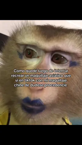 #humor #monkey #fyp #potaxie #mono #monos #chango 