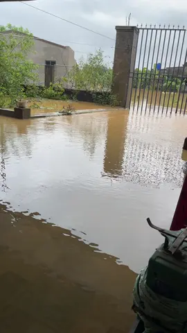 Ngủ dây thấy nước ngập nhà sau 1 cơn mưa miên trung giữa mùa hè nắng cháy , nước vô ngập nhà ngập ướt hết lúa vừa mới gặt xong , 