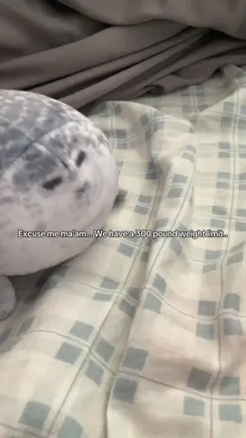 #seals #sealstuffy #stuffy #excusememaamwehavea300poundweightlimit #norbit #rasputia # sill #viral
