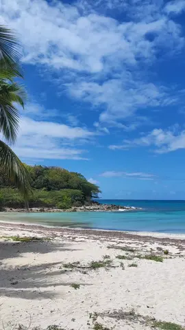 Enamorada de La Isla del Encanto 🇵🇷 #puertorico  #puertorico🇵🇷  #pr  #puerto rico 🇵🇷  #isladelencanto  #williecolon  #salsa 